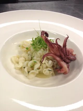 Squid salad